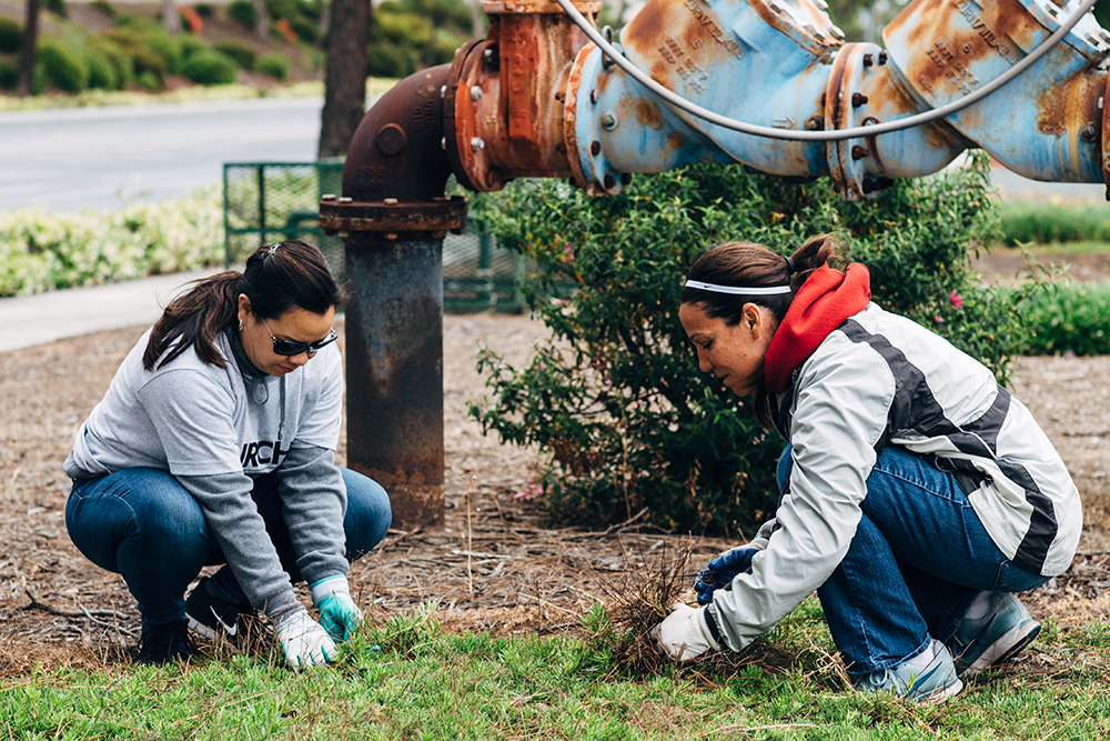 Church180 San Diego Ocean View Hills School landscaping