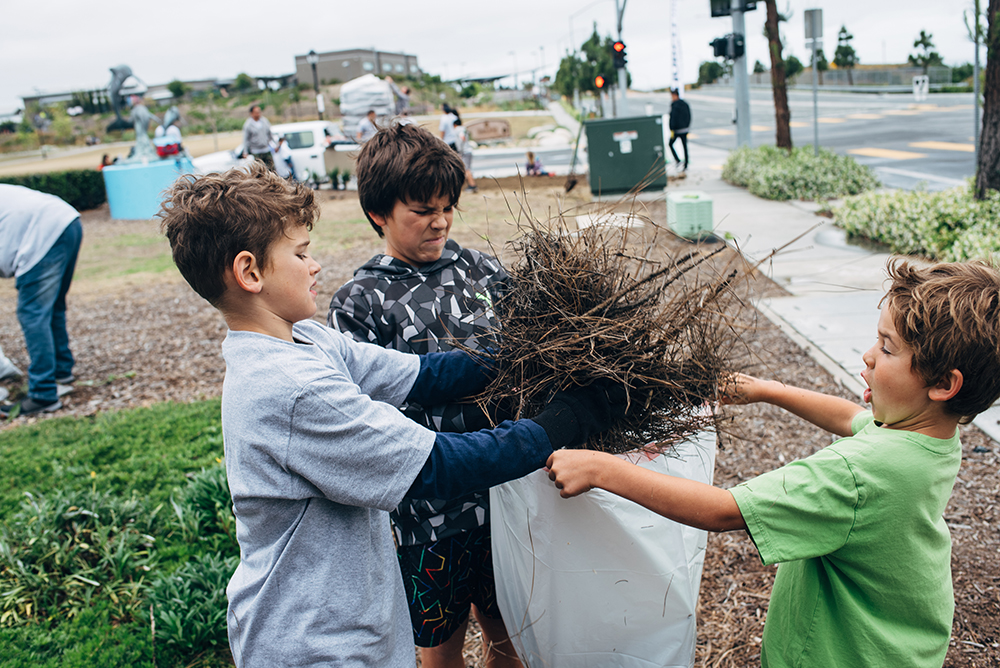 Church180 San Diego Ocean View Hills School landscaping